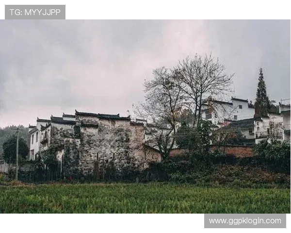 鼎丰国际娱乐提供丰富多样的游戏娱乐体验，满足不同玩家的多样化需求