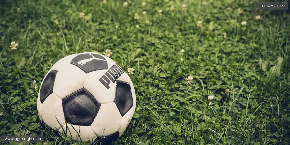 全球手机视讯乐园：掌上真人荷官互动，实时投注不停